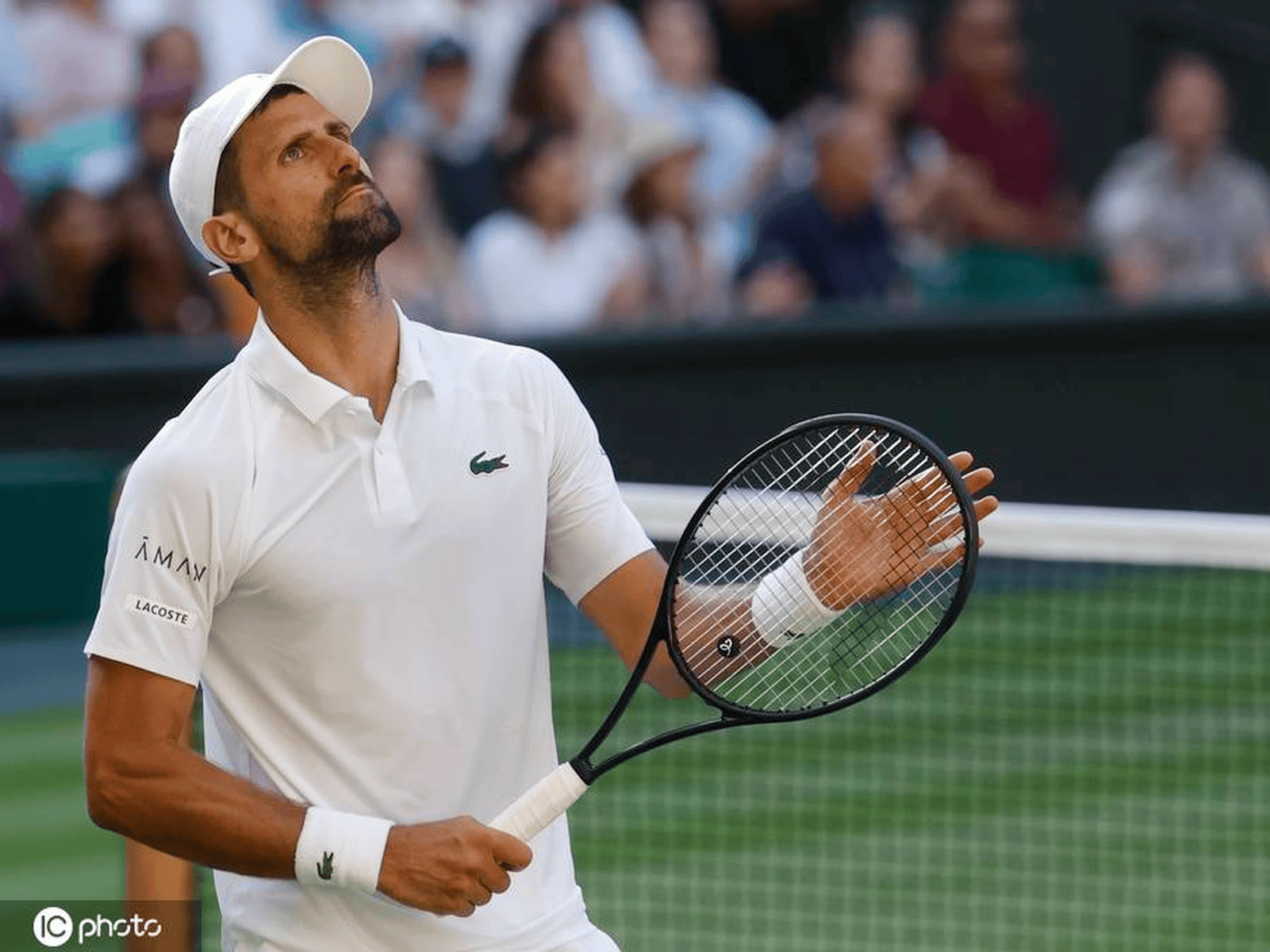 JJB-德约科维奇连续十五场比赛得分超过逆转，雄鹿挑战极限！的简单介绍